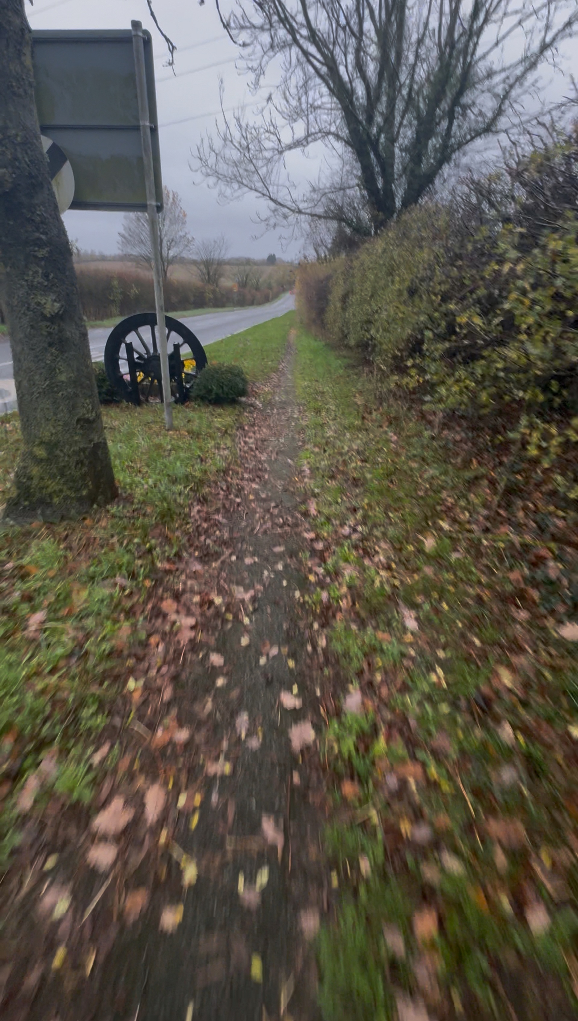 Training for Kilimanjaro in the UK hills